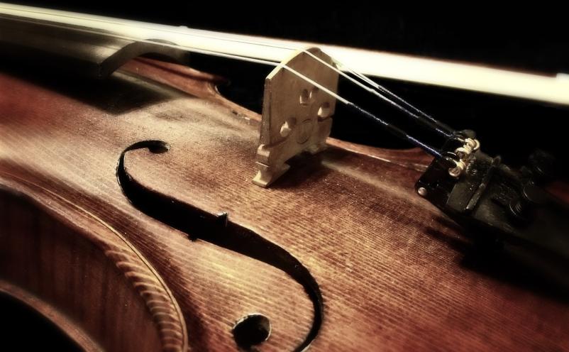 Poučevanje violine Tržič