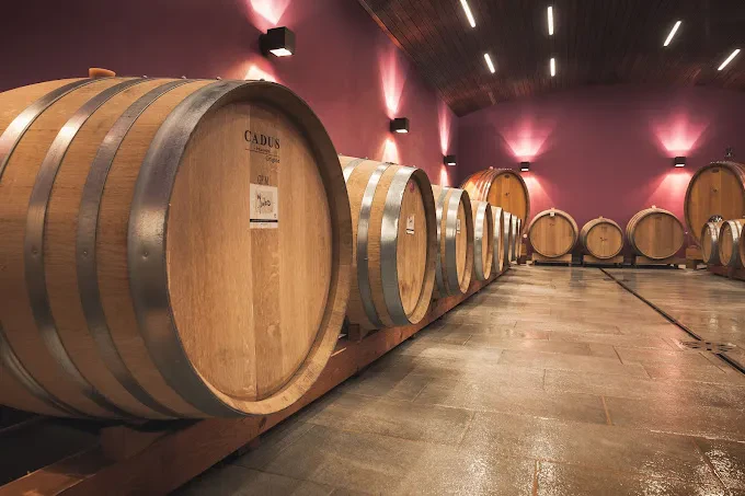 Prodaja domačih vin