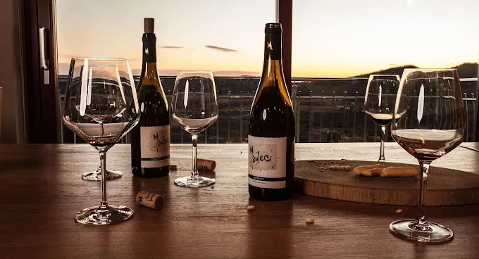 Prodaja in degustacija domačih vin Goriška