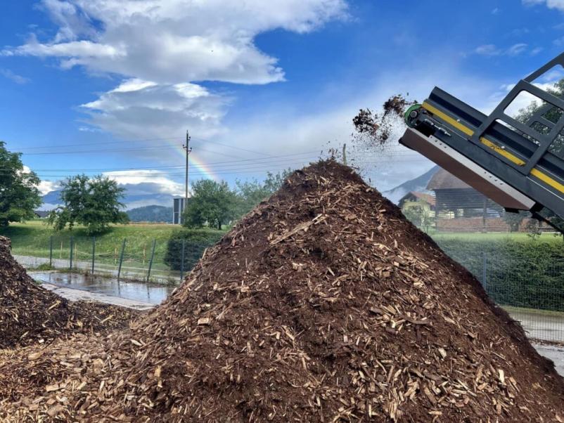 Prodaja in odkup žaganega lesa Slovenija