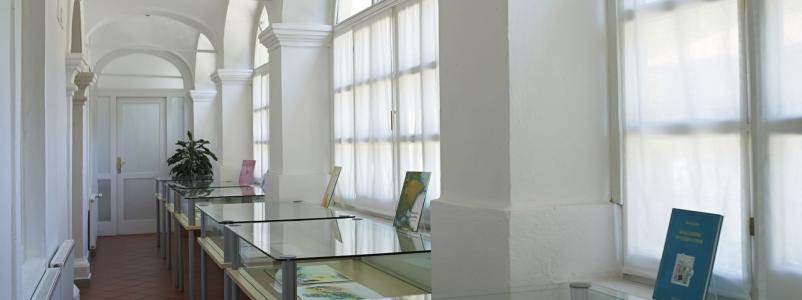 Vpis v Savinjske knjižnice