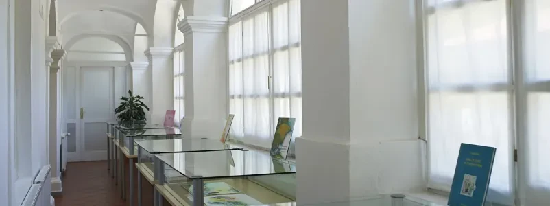 Vpis v Savinjske knjižnice