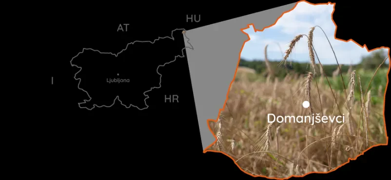 Skrb za narodnost Madžarske