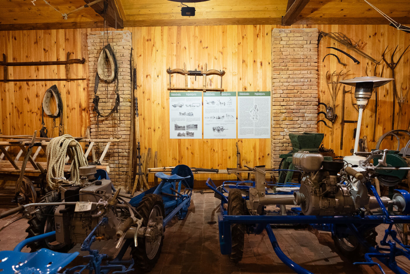 Madžarska manjšina