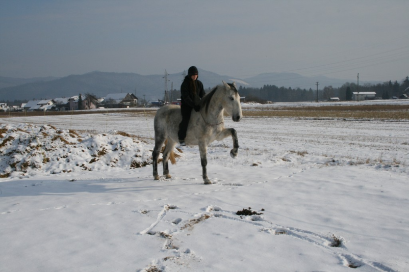 Šola jahanja za otroke Ljubljana