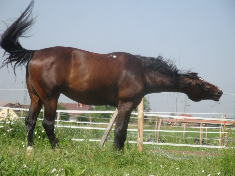 Jahalna šola za otroke Ljubljana