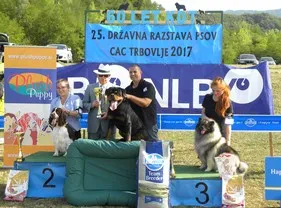 Pasja šola za mladičke Trbovlje, Zasavje