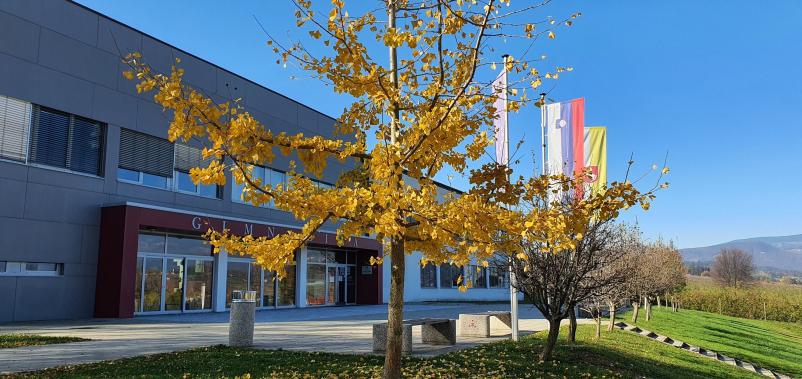 Srednja šola in šolski center Slovenske Konjice