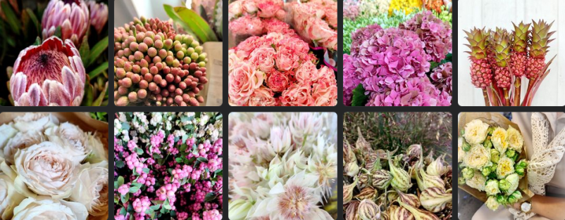 Spletna prodaja cvetja 