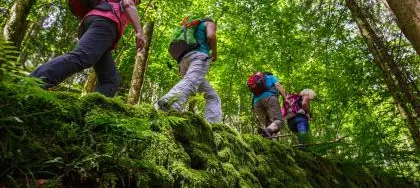 Svetovanje za pare Ljubljana, okolica