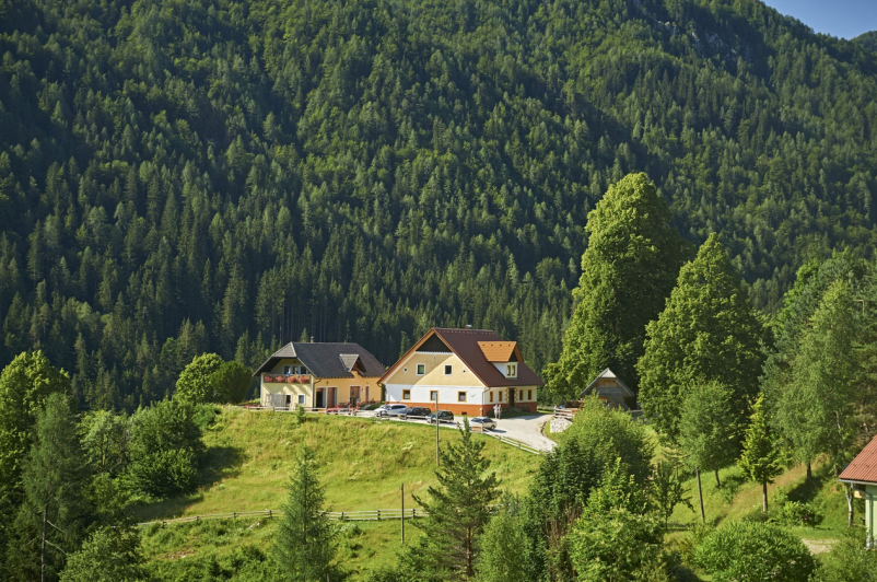 Turistična kmetija Gradišnik, Logarska dolina 