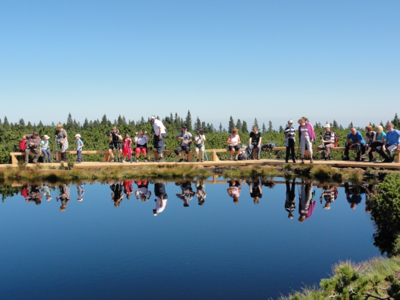 Nordijska hoja Celje