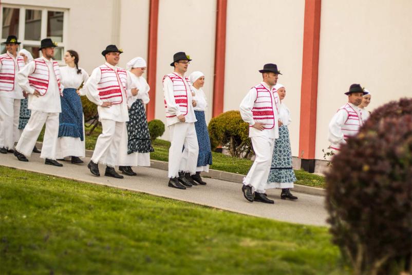 Vpis v kulturno-umetniško društvo