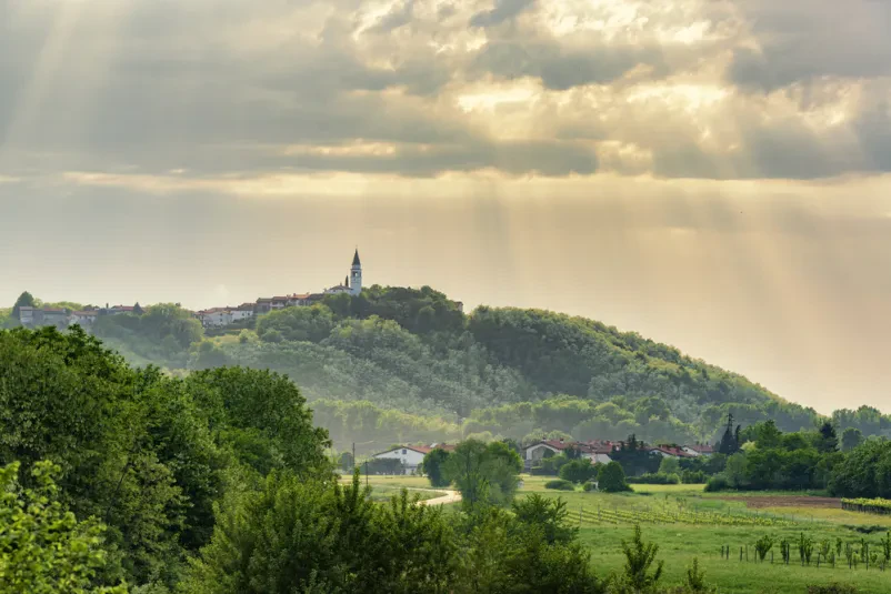 Vpis v turistično društvo Goriška