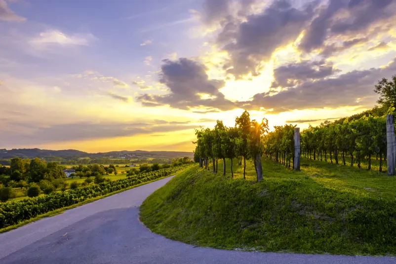 Vpis v turistično društvo