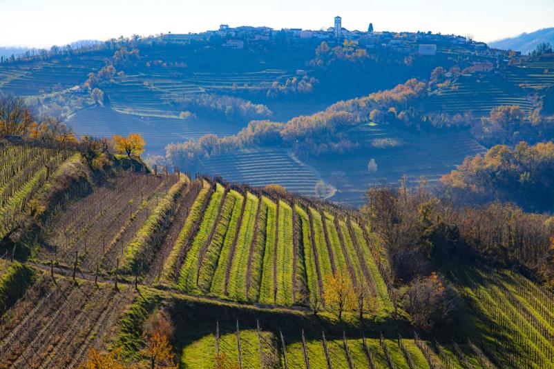 Vpis v vinogradniško vinarsko društvo Vojnik, Savinjska
