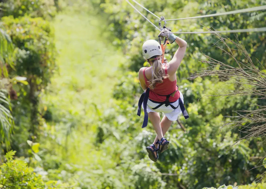 Zipline