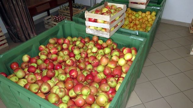 Najboljše domače marmelade na Gorenjskem