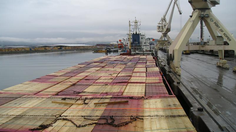 Domači in mednarodni transporti Slovenija, EU