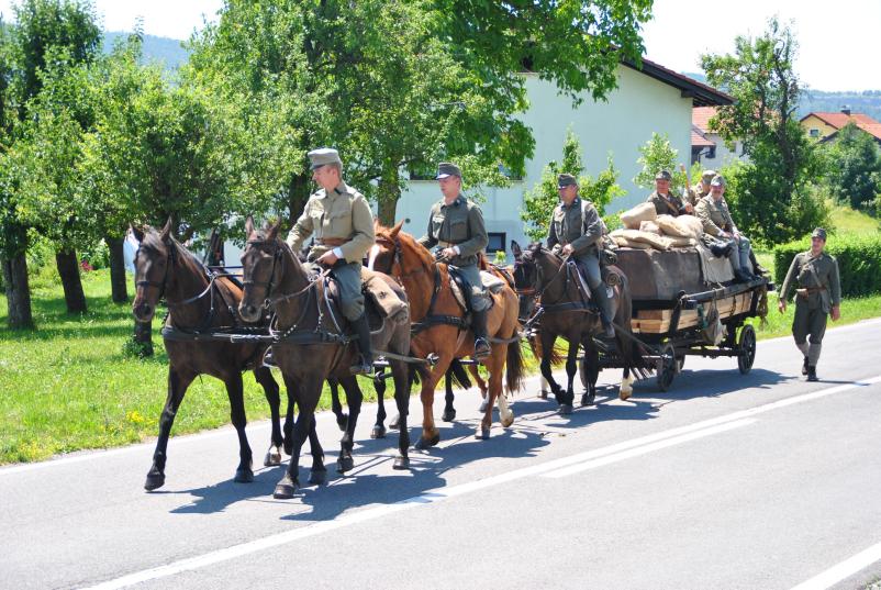 Etnologija in ohranjanje kulturne dediščine Vipavska dolina
