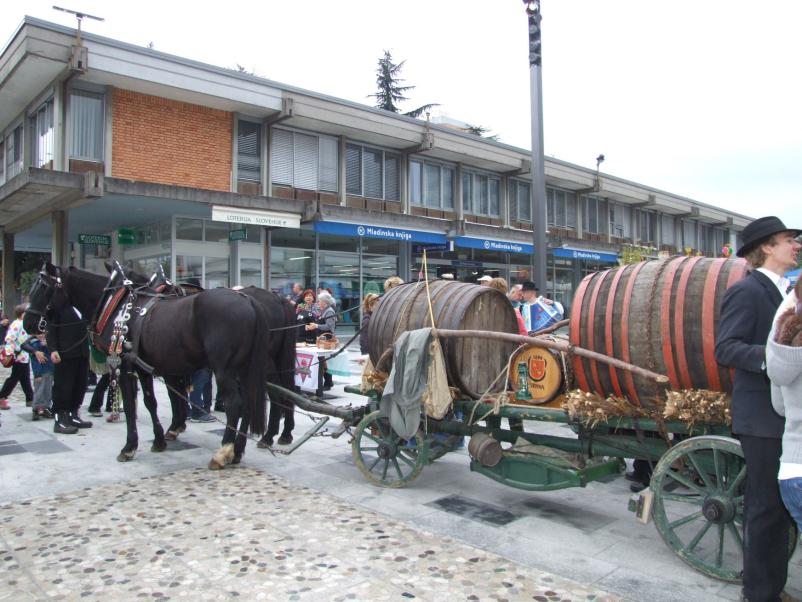 Etnologija Vipavska dolina