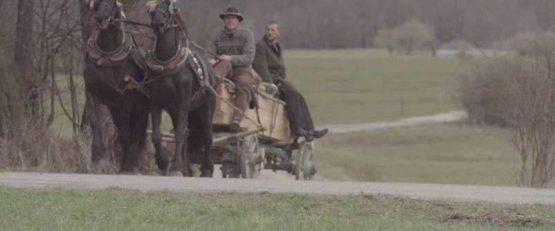 Ohranjanje kulturne dediščine Vipavska dolina