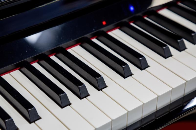 Musikinstrumente Slowenien