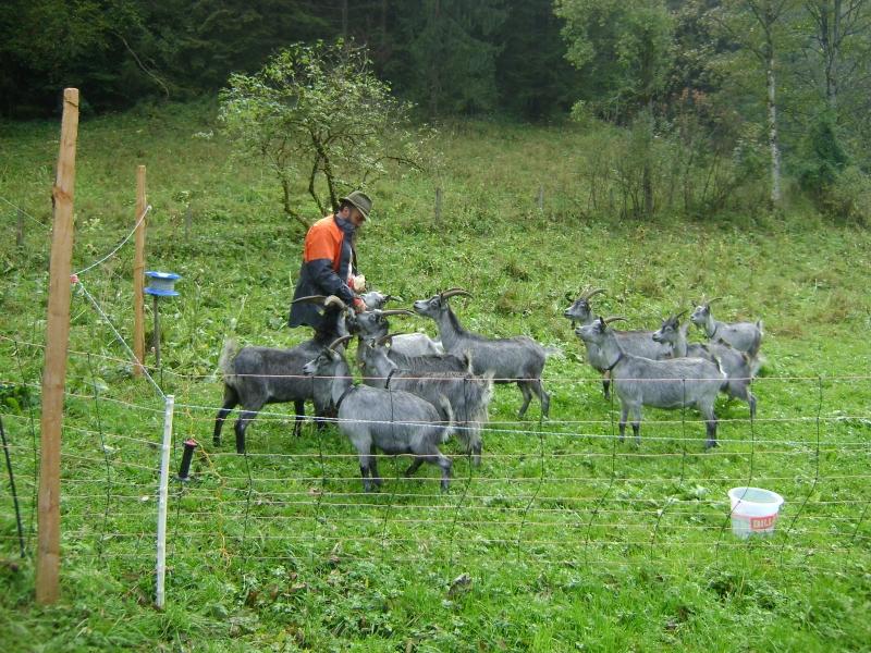 Informiranje ekoloških kmetov Gorenjska