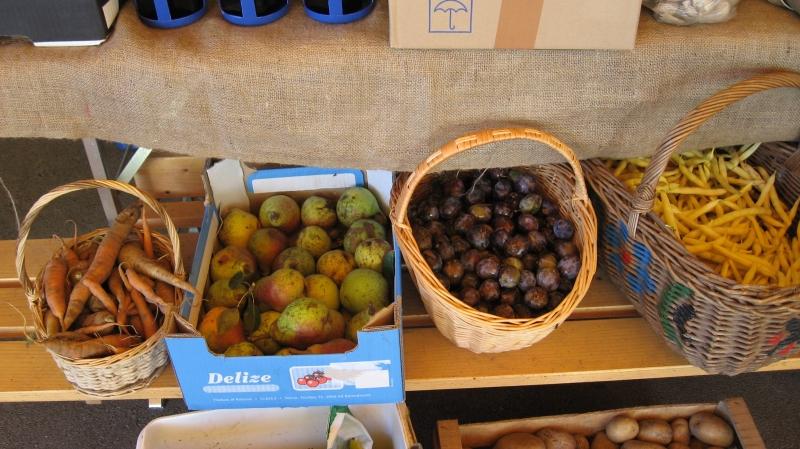 Izobraževanje ekoloških kmetov Gorenjska