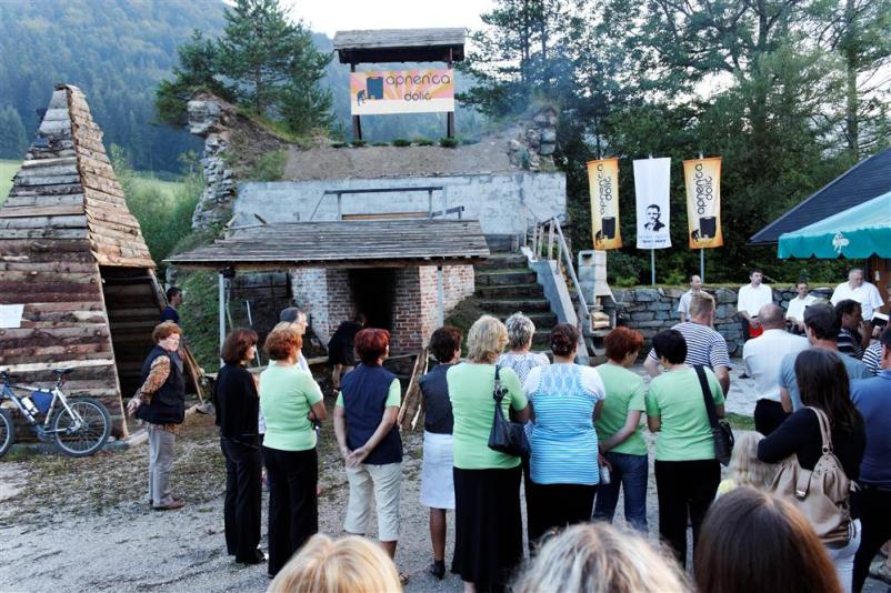 Kulturno društvo Mislinja, Koroška