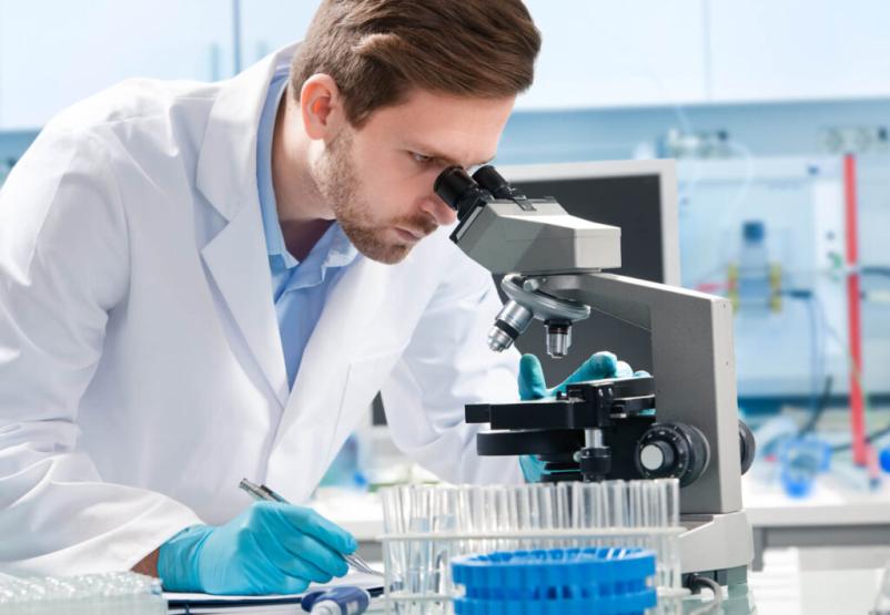 Medicina dela, prometa in športa Ljubljana