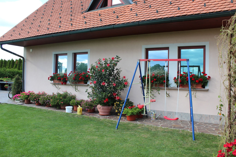 Ugodne, najlepše pelargonije, balkonsko cvetje Slovenija