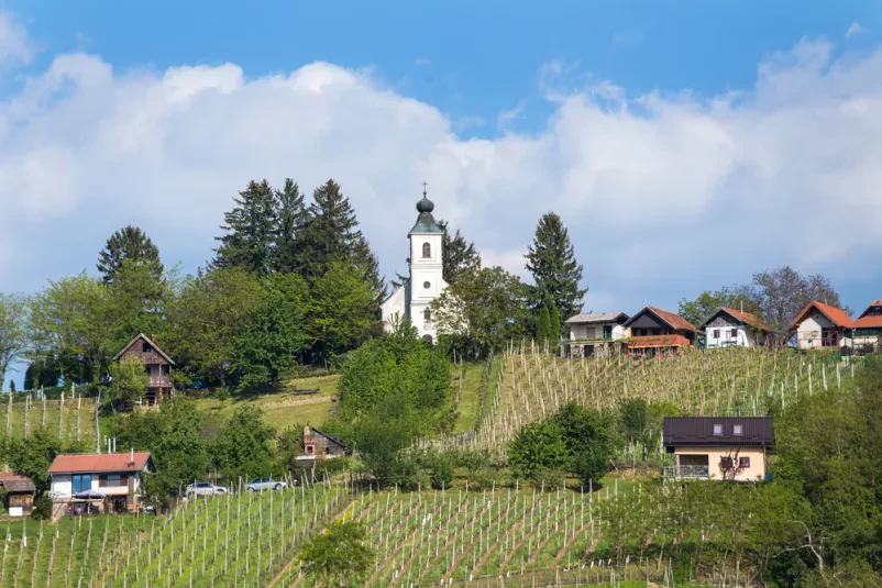 Območno združenje slovenskih častnikov Lendava, Pomurje
