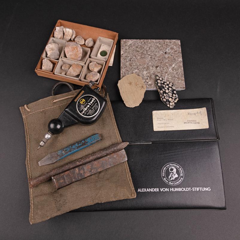 Organizacija MINFOS Tržič