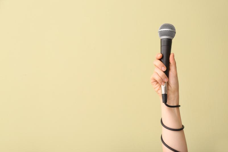 Organizacija kulturnih dogodkov Koroška