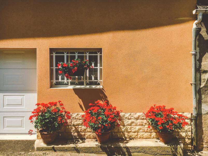 Organizacija prireditev Koroška