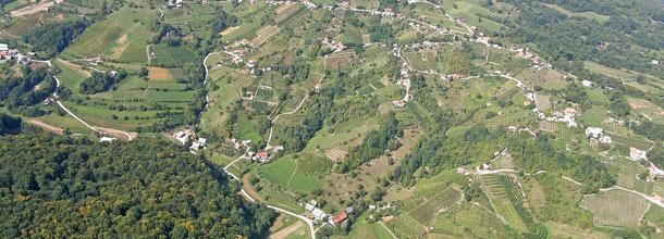 Promocija in ocenjevanje vin Otočec, Dolenjska