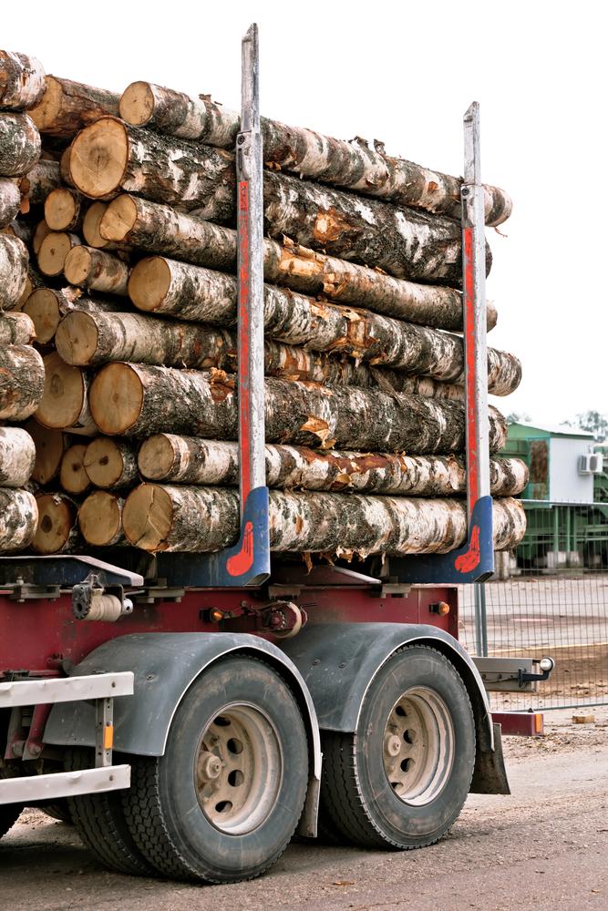 Sägewerke und Holzverarbeitung Slowenien