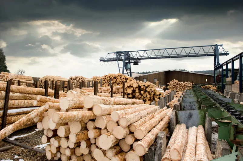 Holzsäge Slowenien