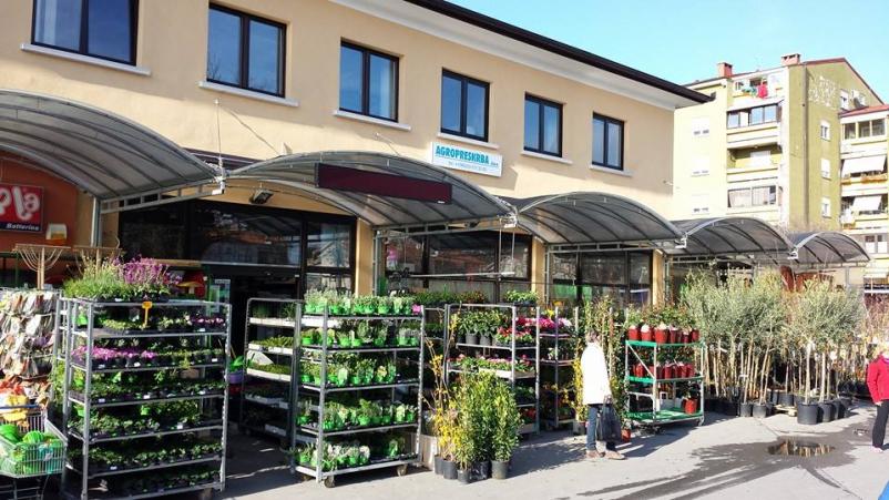 Semenarna, cvetličarna in repromaterial Sežana