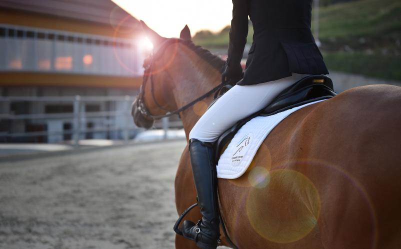 Šola jahanja Domžale