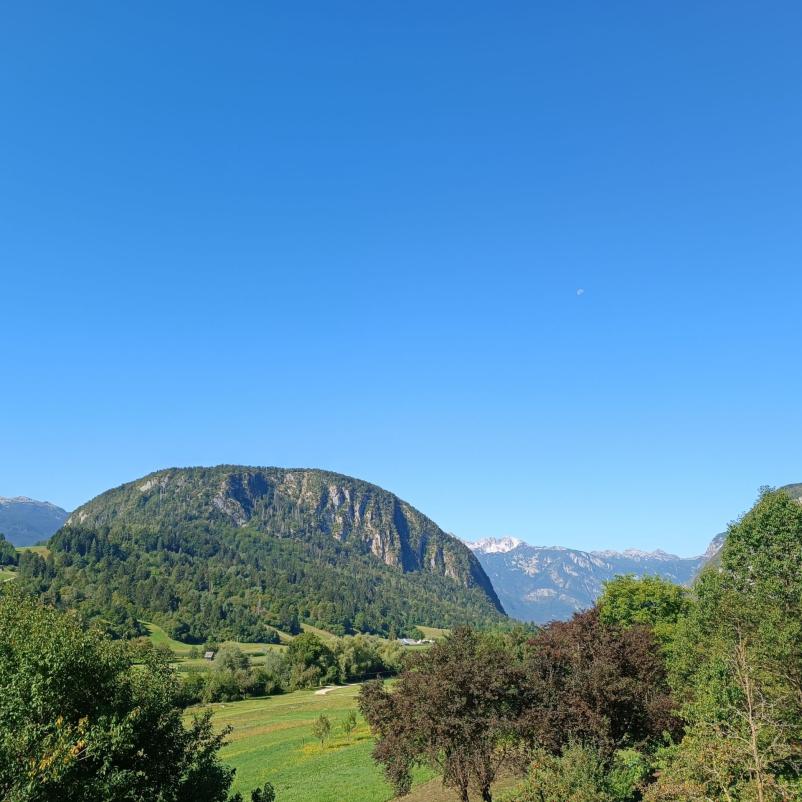 Poceni apartma v Bohinju