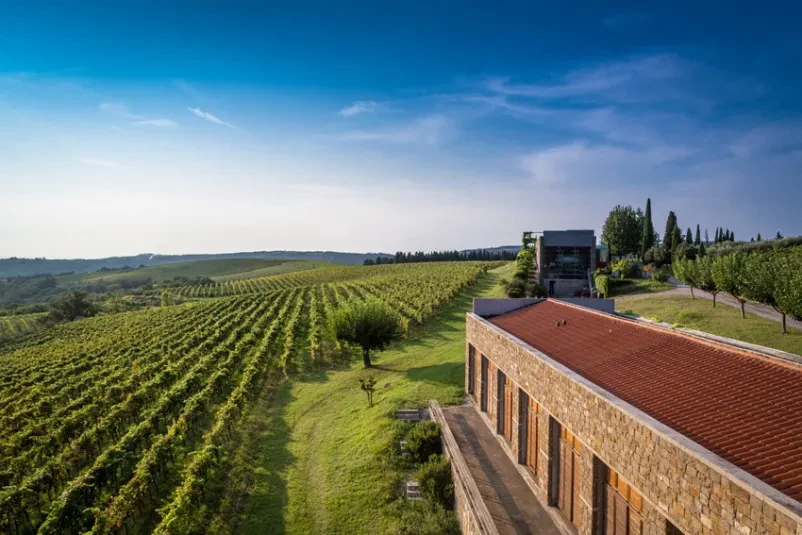 Vrhunska vina Brič