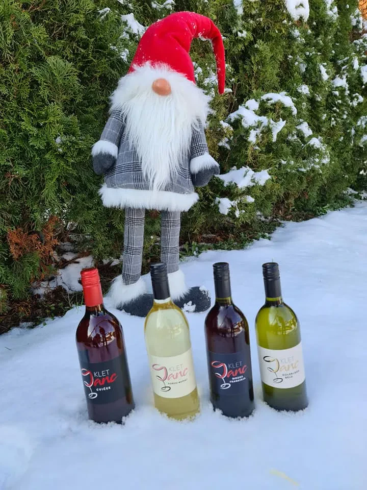 Degustacija vina Dolenjska