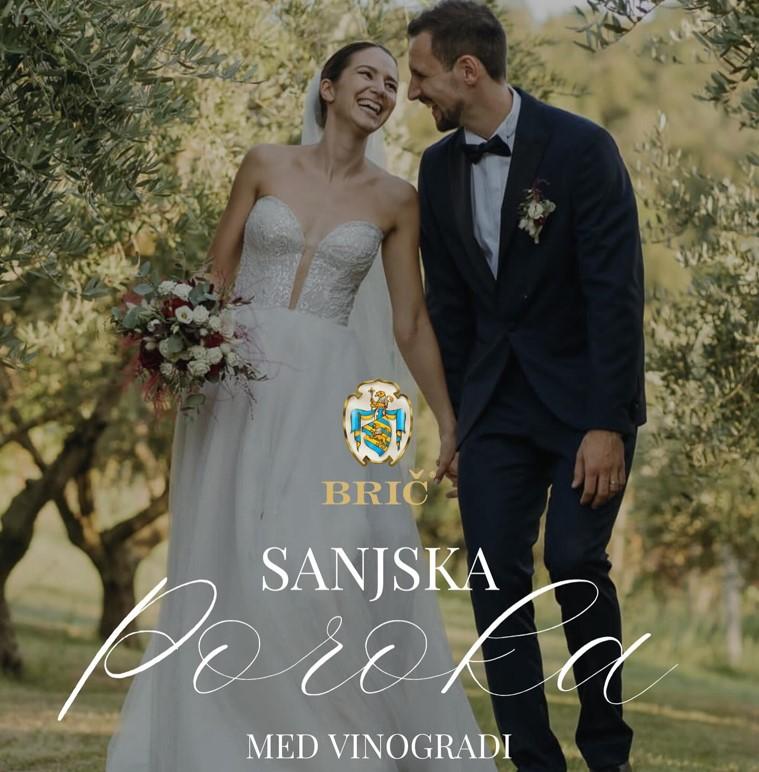 Vinska klet Brič Slovenija