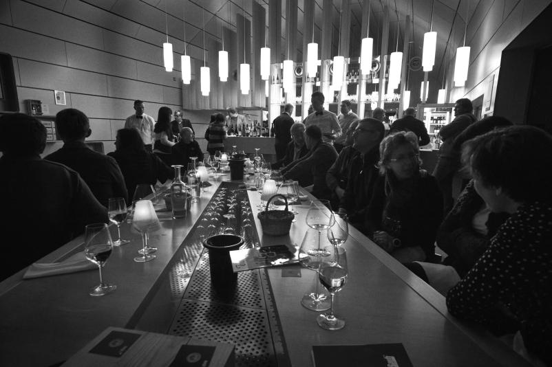 Vrhunska modra frankinja Slovenija, ki jo morate poizkusiti