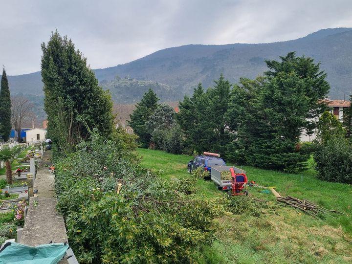 Vrtnarske storitve Goriška