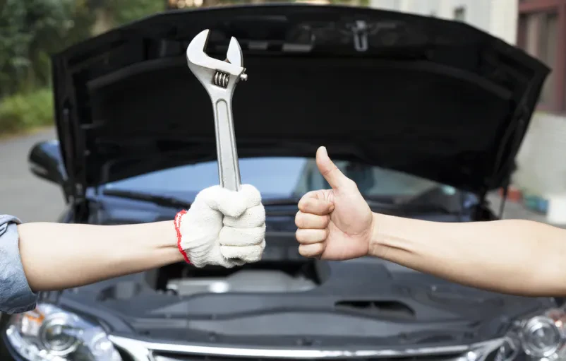 Servis diesel motorjev Obala, Primorska