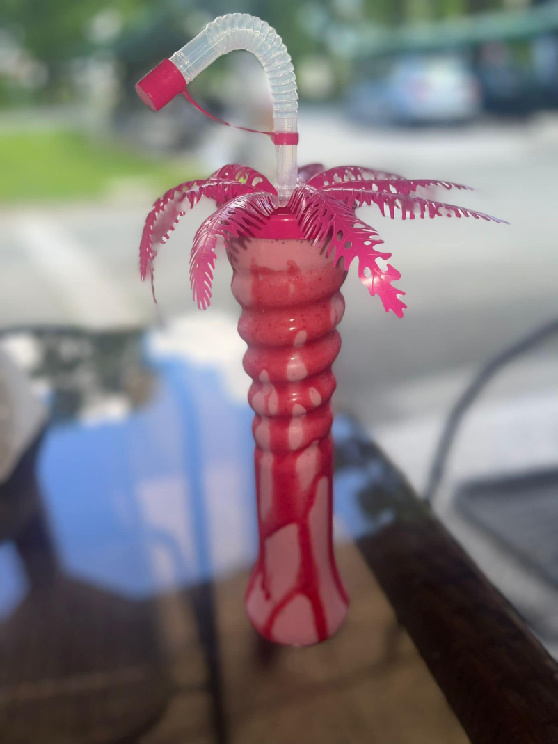 Sladoled Kidričevo, okolica