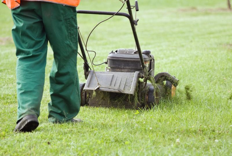Ljubljana in okolica pozor! Strokovno in ugodno vam uredimo košnjo trave in obrezovanje dreves